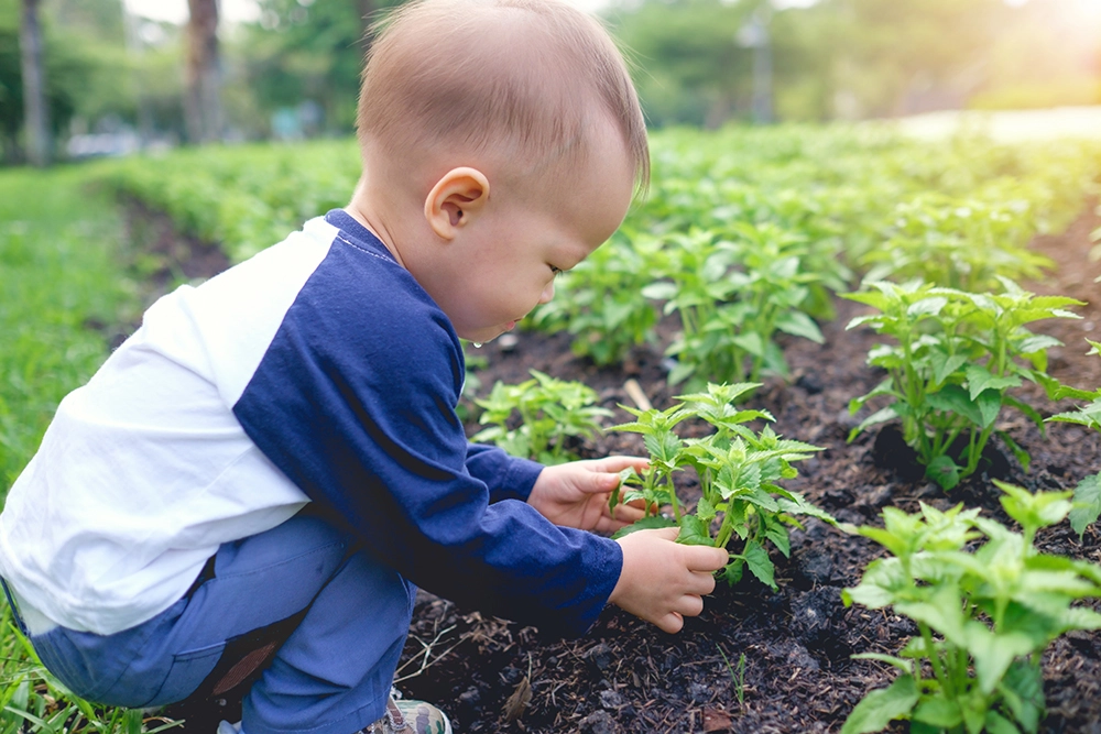 Understanding-my-18-month-old-toddler